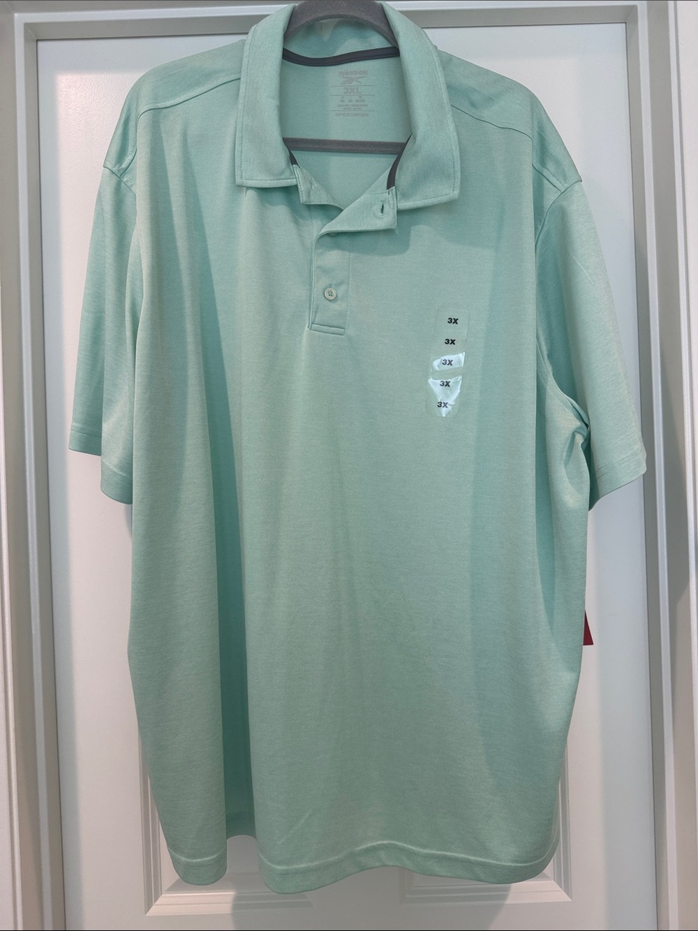 Reebok Men's Polo in Mint Green